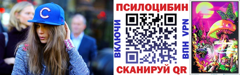 Псилоцибиновые грибы Cubensis  Ершов 